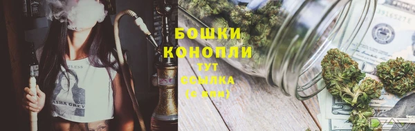 ГАЛЛЮЦИНОГЕННЫЕ ГРИБЫ Алексин