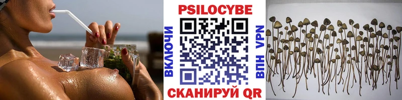 купить закладку  Безенчук  Псилоцибиновые грибы ЛСД 